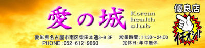 【愛の城】南区柴田/名古屋