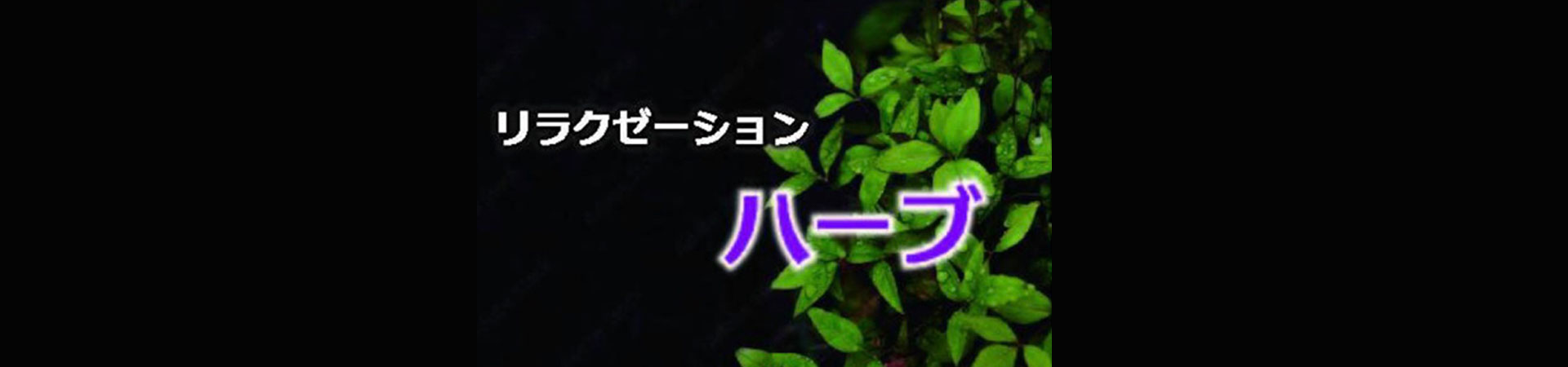 【ハーブ】甲斐市/山梨県